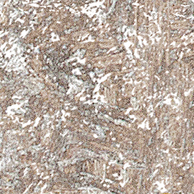 DS-691
