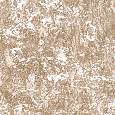 DS-690