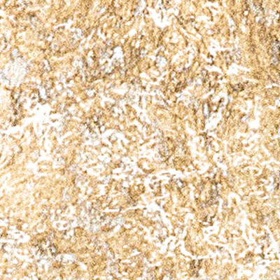 DS-675