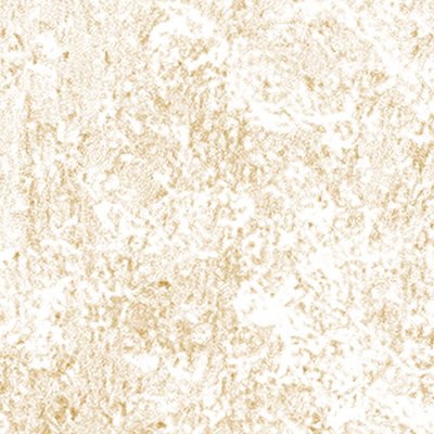 DS-673