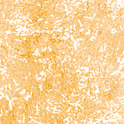 DS-668