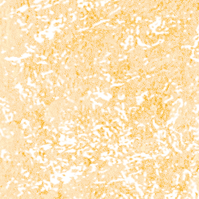 DS-667