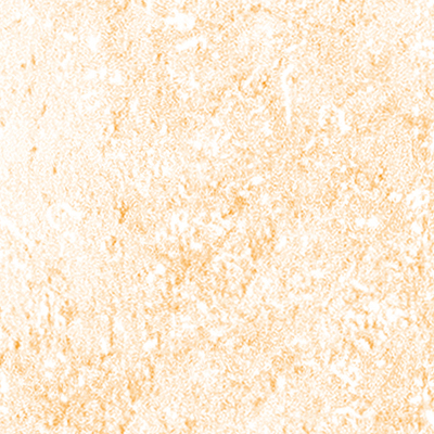 DS-665