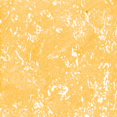 DS-658