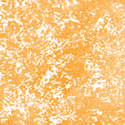 DS-651