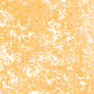 DS-650