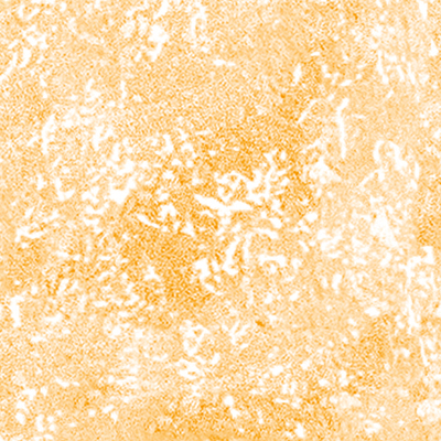 DS-649