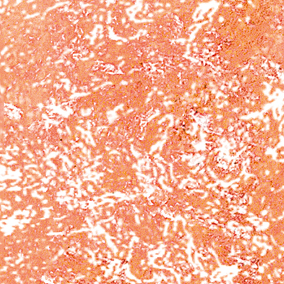 DS-643