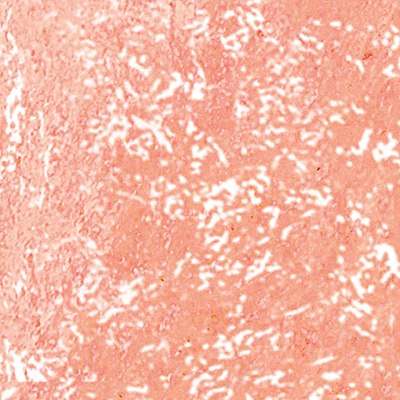 DS-642