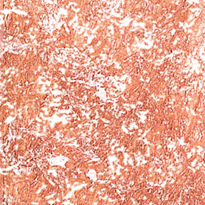 DS-627