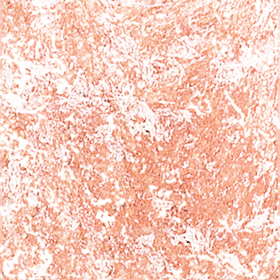 DS-626