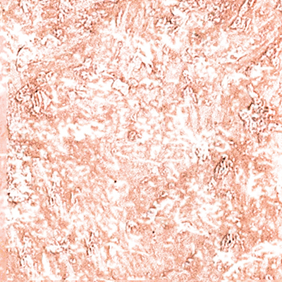 DS-618