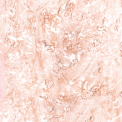 DS-617