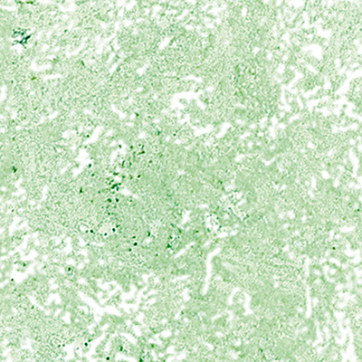 DS-605