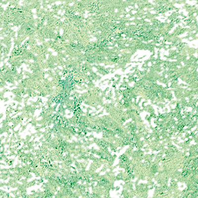 DS-606