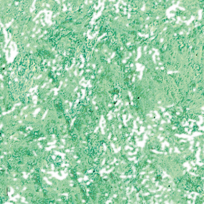 DS-607