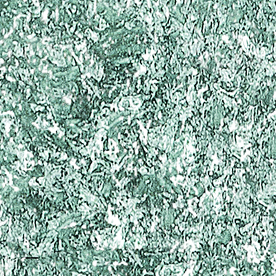 DS-639