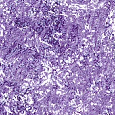 DS-688