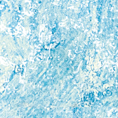 DS-669