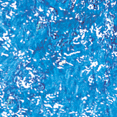 DS-664
