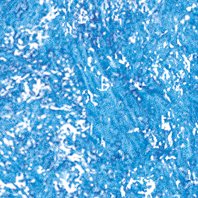 DS-663