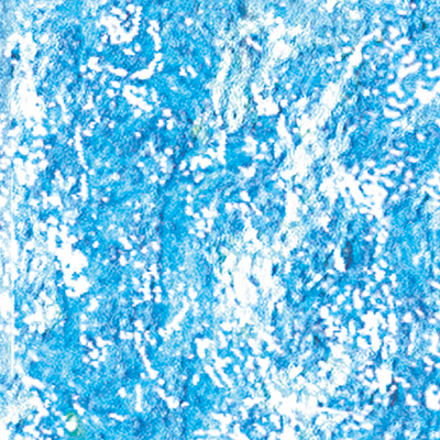 DS-656