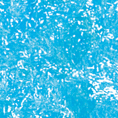 DS-655