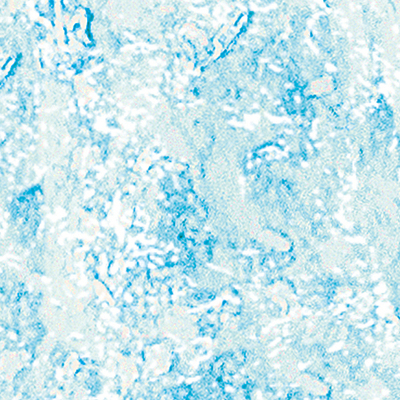 DS-653