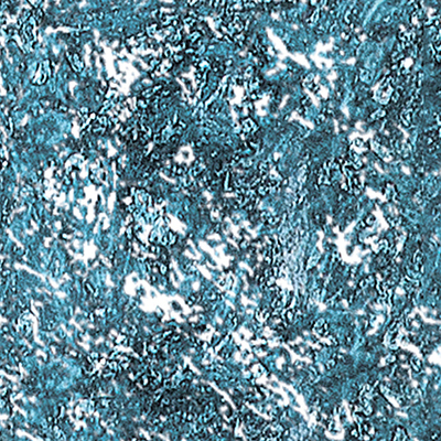 DS-648