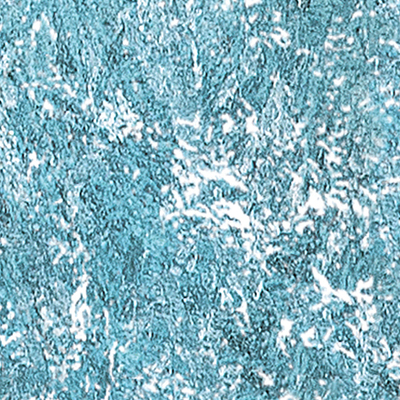 DS-647
