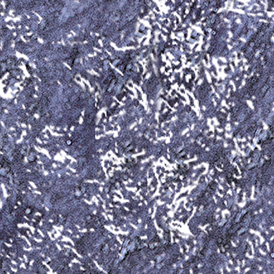 DS-680
