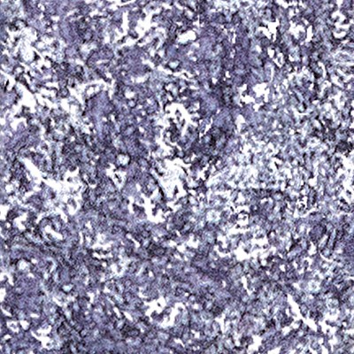 DS-679
