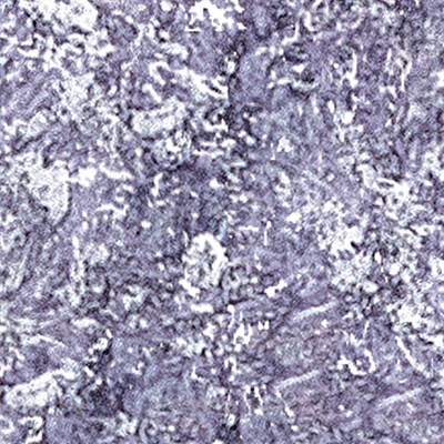 DS-678