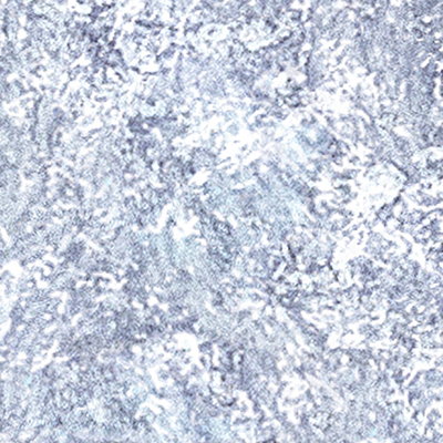 DS-677